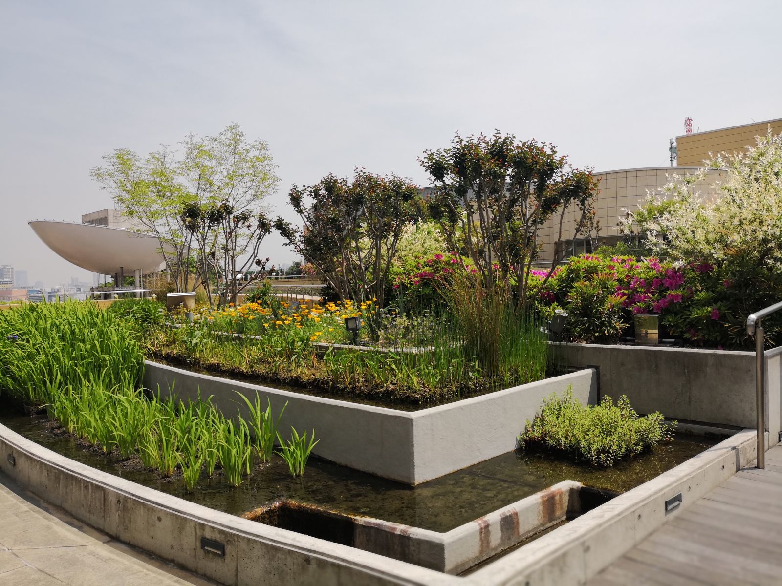 參觀大師安藤忠雄作品 考察大阪住宅與商業(yè)建筑