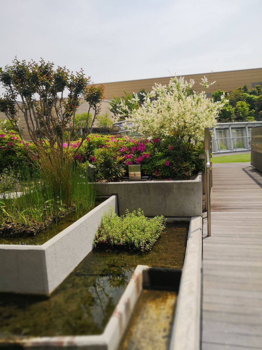 參觀大師安藤忠雄作品 考察大阪住宅與商業(yè)建筑