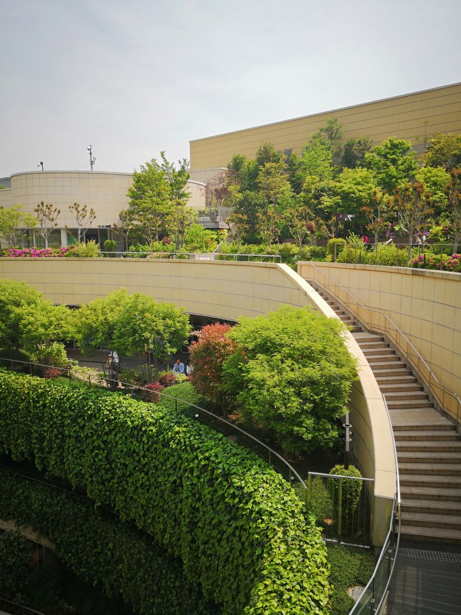 參觀大師安藤忠雄作品 考察大阪住宅與商業(yè)建筑