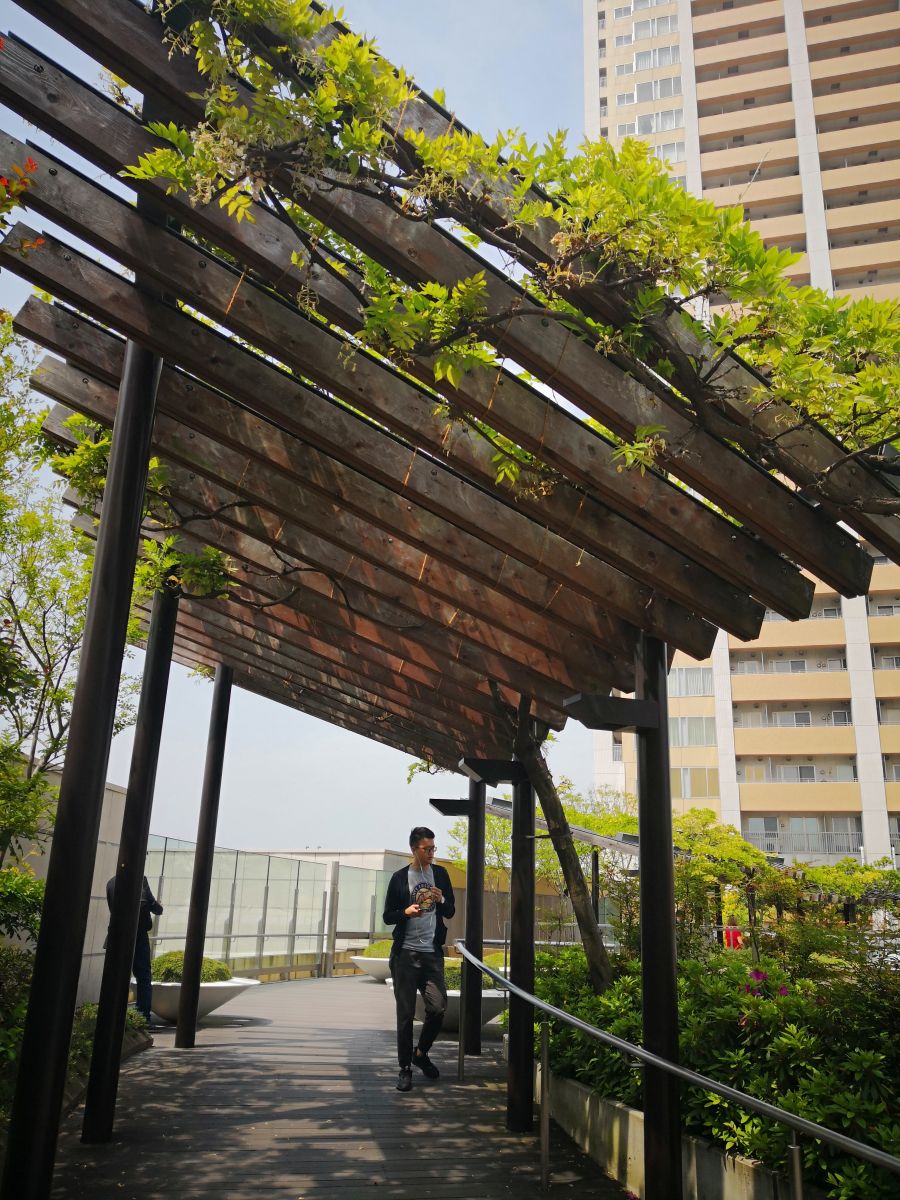 參觀大師安藤忠雄作品 考察大阪住宅與商業(yè)建筑