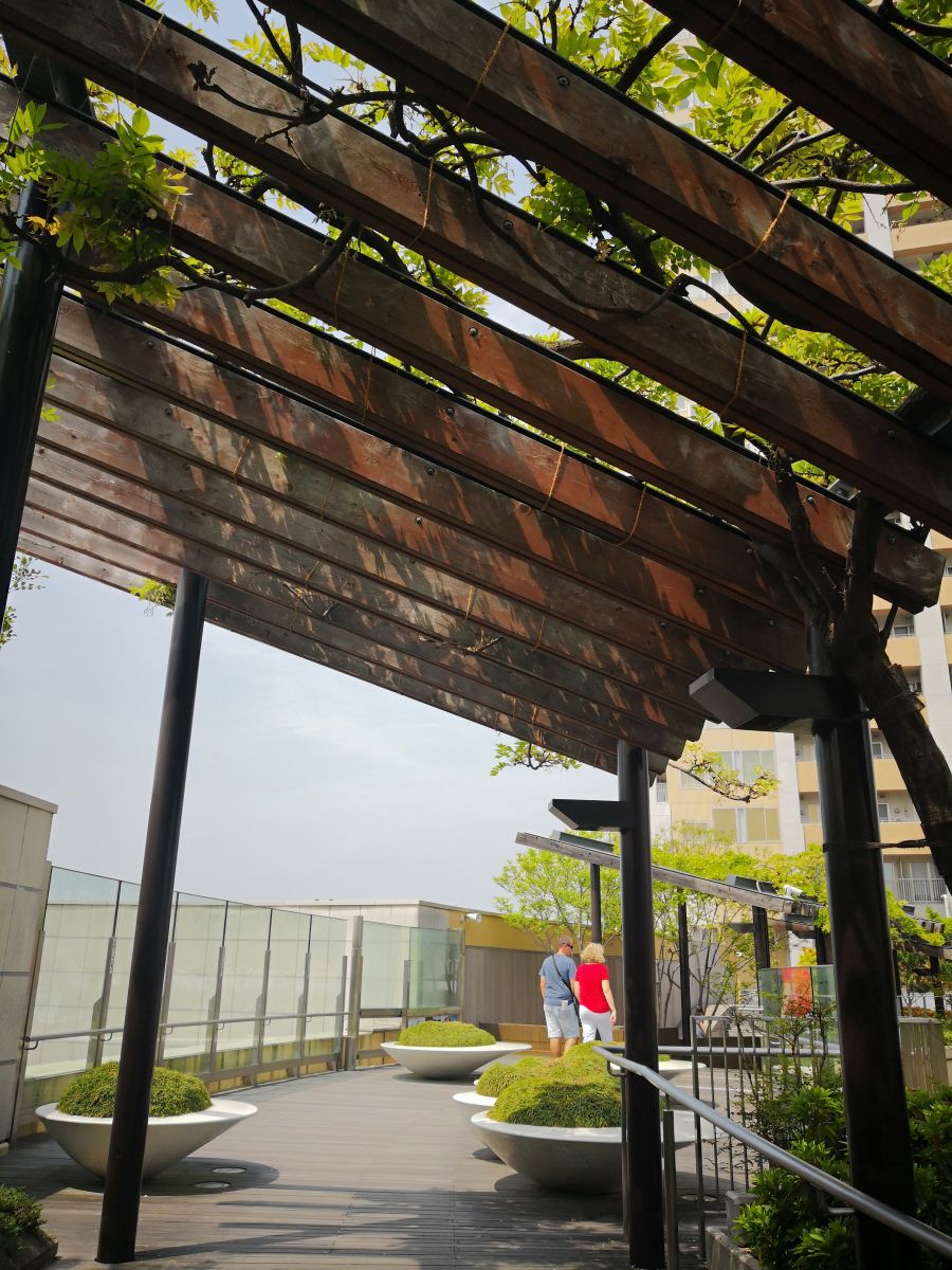 參觀大師安藤忠雄作品 考察大阪住宅與商業(yè)建筑