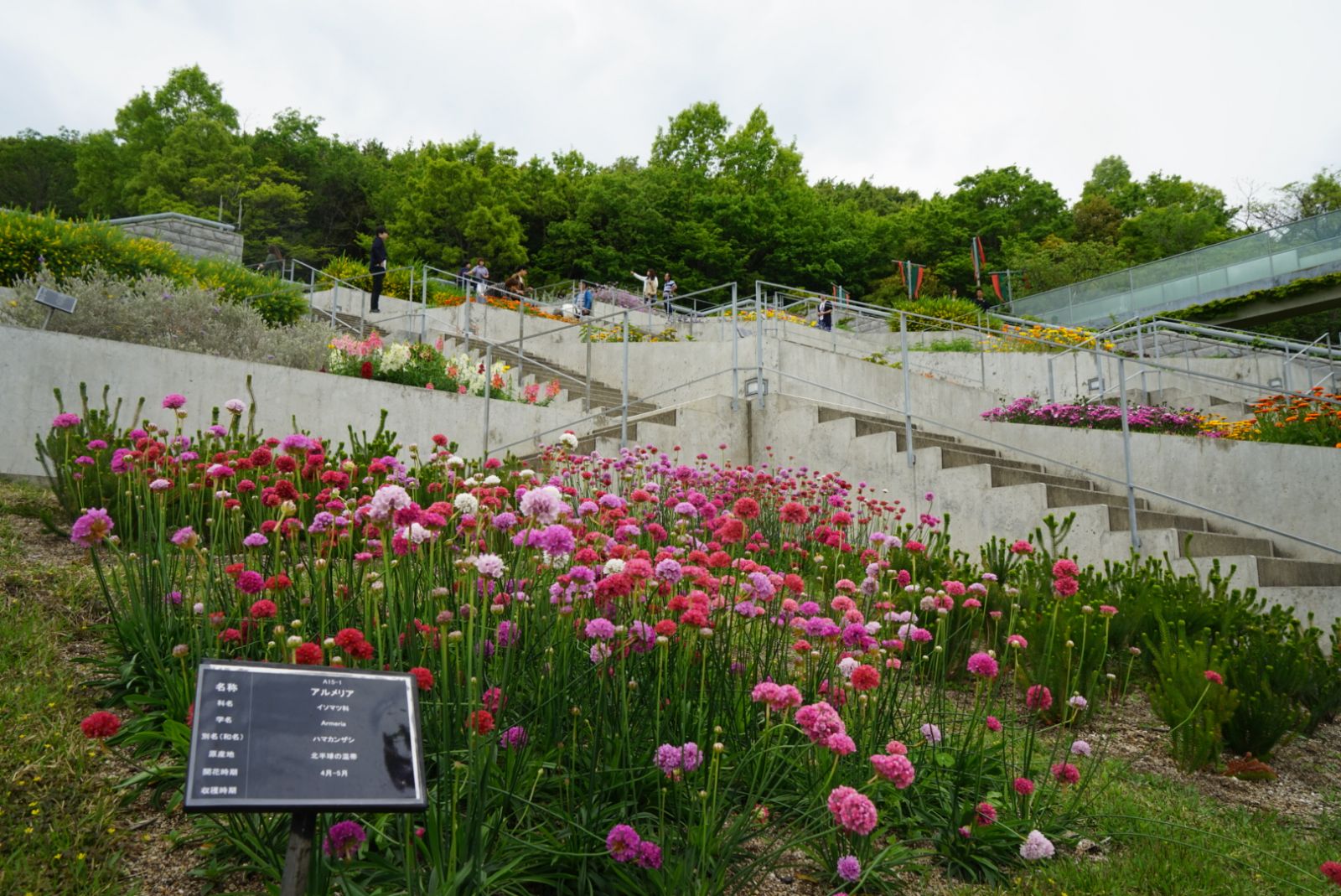 參觀大師安藤忠雄作品 考察大阪住宅與商業(yè)建筑