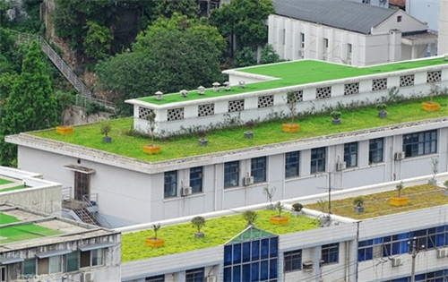 武漢黃鶴樓景區(qū)周邊立體整治見成效