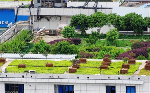 武漢黃鶴樓景區(qū)周邊立體整治見成效