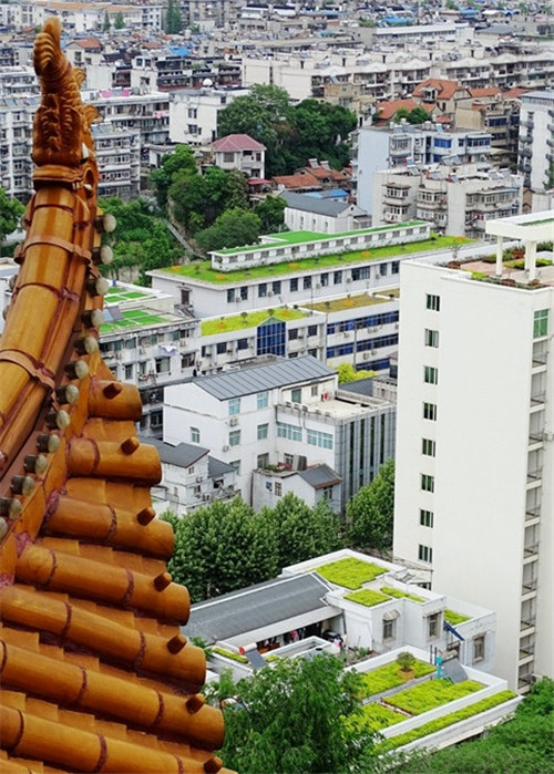 武漢黃鶴樓景區(qū)周邊立體整治見成效