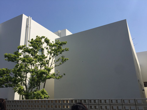 對話佐佐木葉二大師:展現(xiàn)看不見的自然