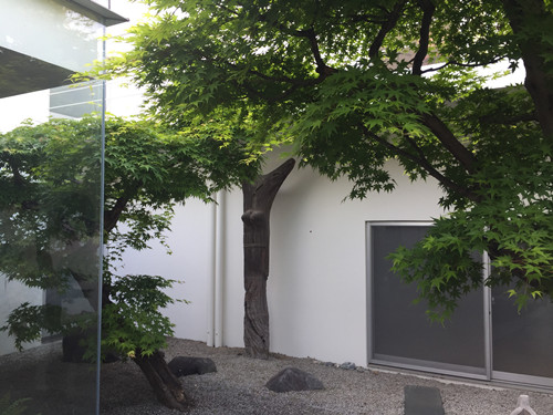 對話佐佐木葉二大師:展現(xiàn)看不見的自然