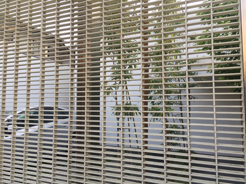 對話佐佐木葉二大師:展現(xiàn)看不見的自然