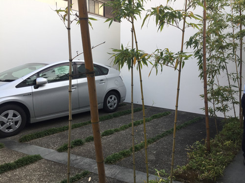 對話佐佐木葉二大師:展現(xiàn)看不見的自然