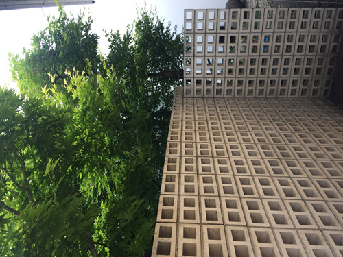 對話佐佐木葉二大師:展現(xiàn)看不見的自然