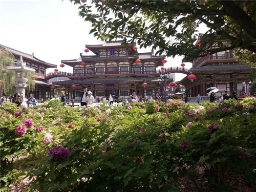 最受日本人喜愛的景區，就在西安的東郊