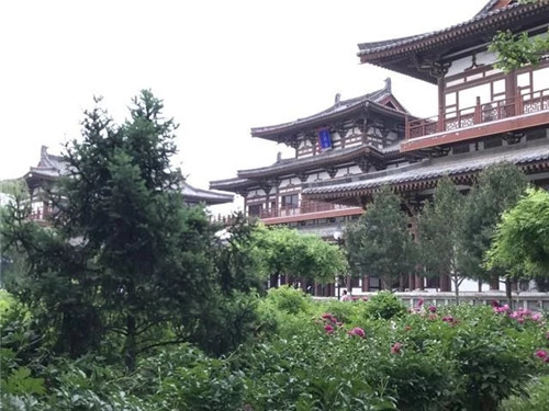 最受日本人喜愛的景區，就在西安的東郊