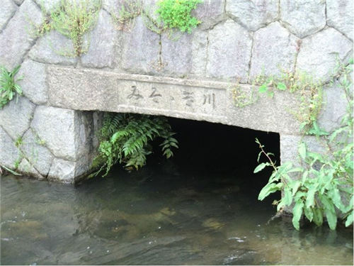 日本鴨川河上的千姿百態(tài)的橋