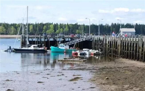 圣安德魯斯——北美最美的海邊小鎮(zhèn)