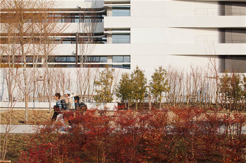 日本代市互助保險(xiǎn)公司辦公環(huán)境景觀設(shè)計(jì)