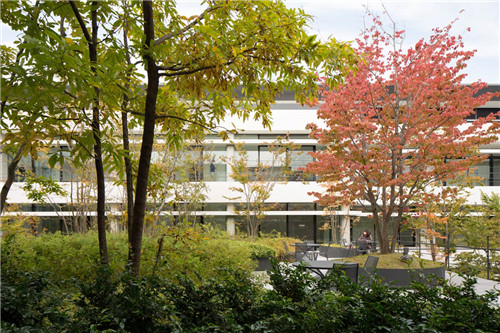 日本代市互助保險(xiǎn)公司辦公環(huán)境景觀設(shè)計(jì)