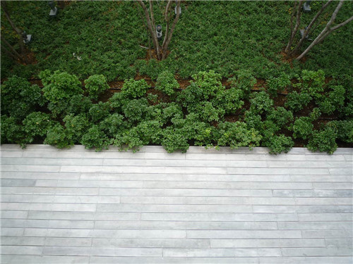 日本代市互助保險(xiǎn)公司辦公環(huán)境景觀設(shè)計(jì)