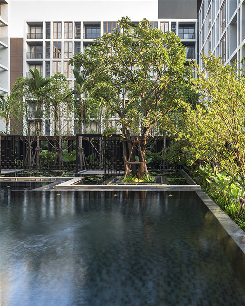 Shma設計事務所作品:哈蘇豪斯公寓景觀