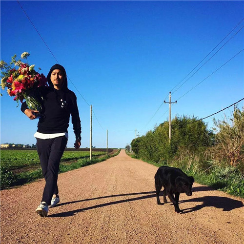 日本人對于瀕危植物的關注度遠高于櫻花