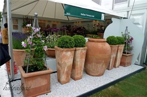 有意境的“花園設計”,讓人醉