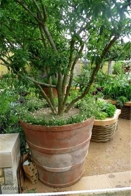 有意境的“花園設計”,讓人醉