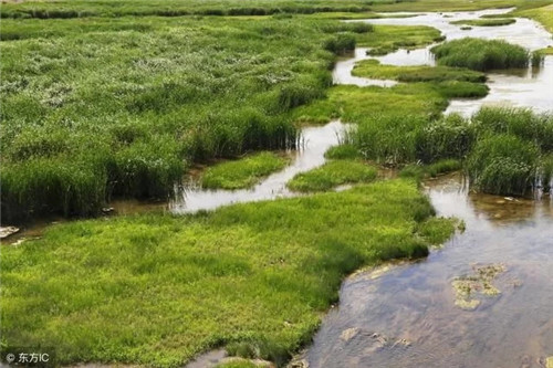 精準扶貧背景下自然保護區發展路徑構建