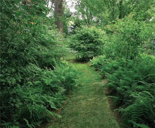 住宅水景景觀，充滿活力！美不勝收！