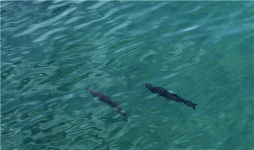 “十六湖國家公園”撫慰人內心的是純粹自然