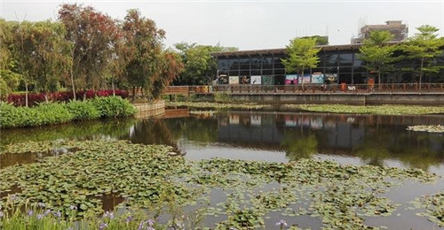東莞游玩好去處——龍灣婚慶主題公園