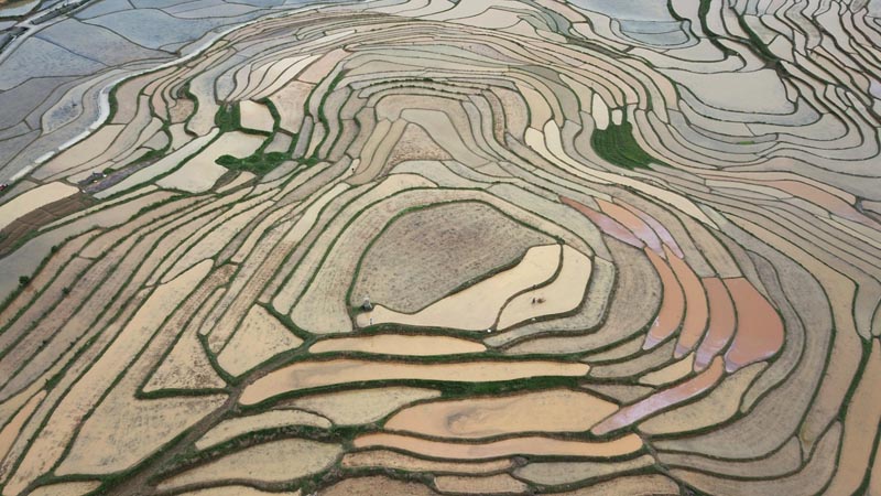 廣西南丹:巴平梯田美如畫