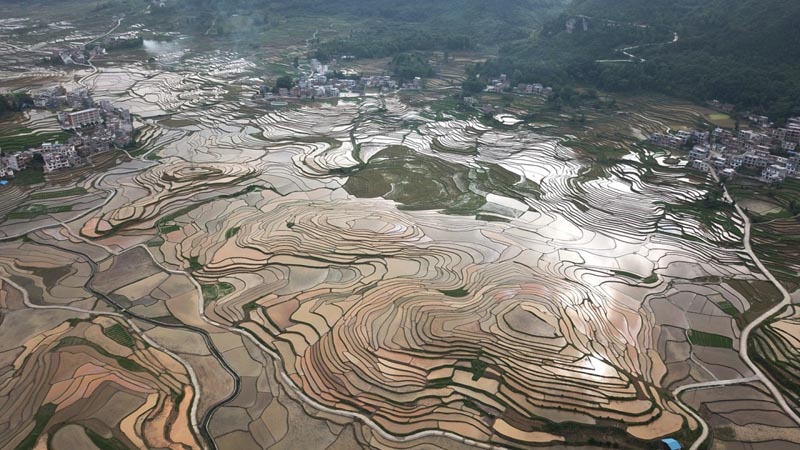 廣西南丹:巴平梯田美如畫