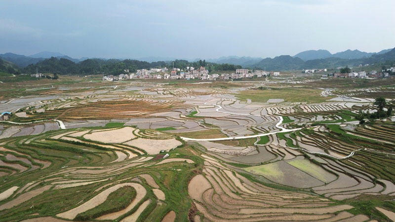 廣西南丹:巴平梯田美如畫