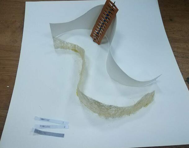 羅青：創(chuàng)造有情感意義的空間序列