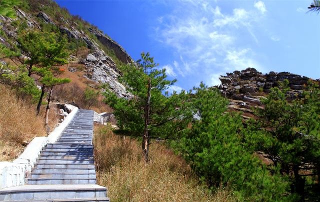 陜西朱雀國家森林公園攝影作品欣賞