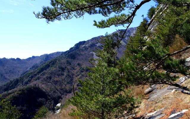 陜西朱雀國家森林公園攝影作品欣賞