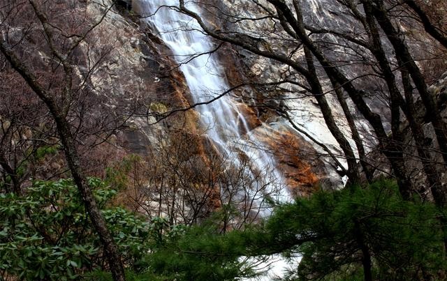 陜西朱雀國家森林公園攝影作品欣賞