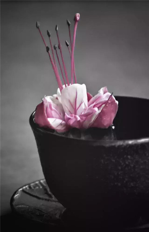 插花入瓶，生活在野