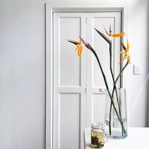 插花入瓶，生活在野