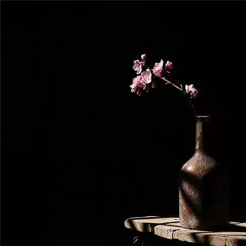 插花入瓶，生活在野