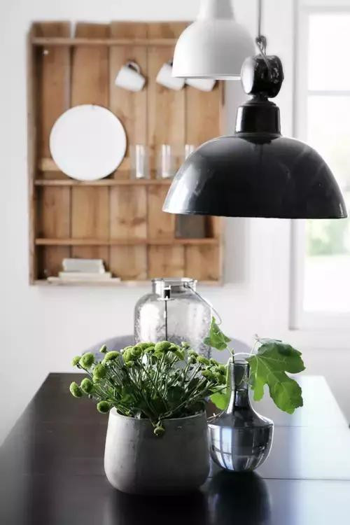 插花入瓶，生活在野