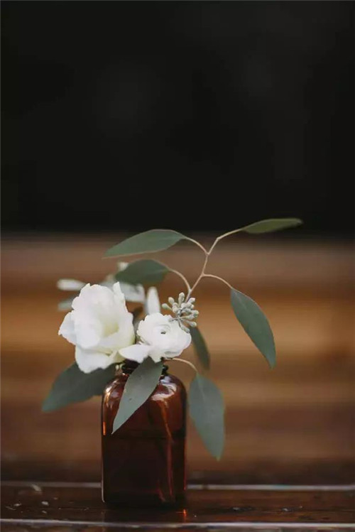 插花入瓶，生活在野