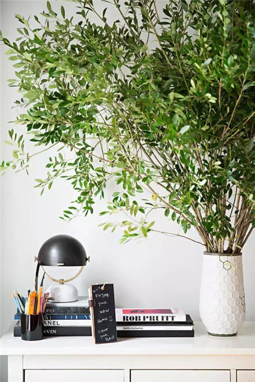 插花入瓶，生活在野