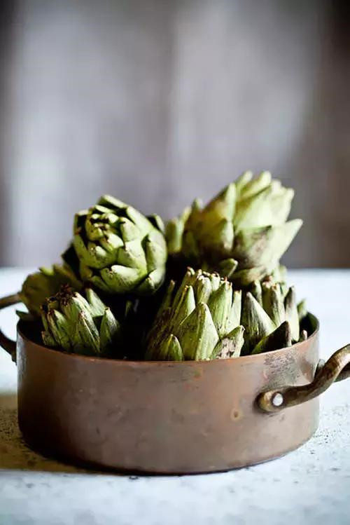 插花入瓶，生活在野