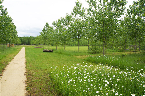 法國加龍河岸佩利西斯自然公園