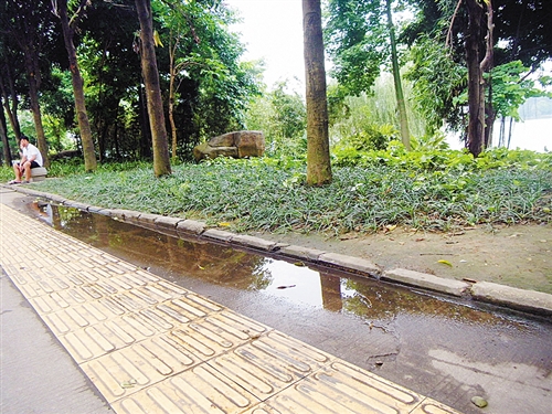 南寧：城市海綿化改造打造人水和諧新景