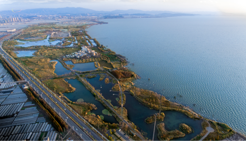 清控人居王欣訪談：做有生命的景觀