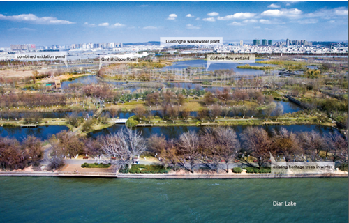 清控人居王欣訪談：做有生命的景觀