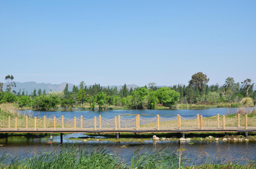 清控人居王欣訪談：做有生命的景觀