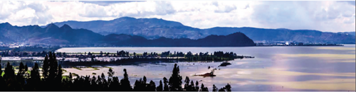 清控人居王欣訪談：做有生命的景觀