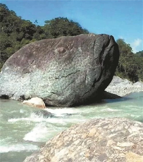 令人驚嘆的大自然奇特景觀